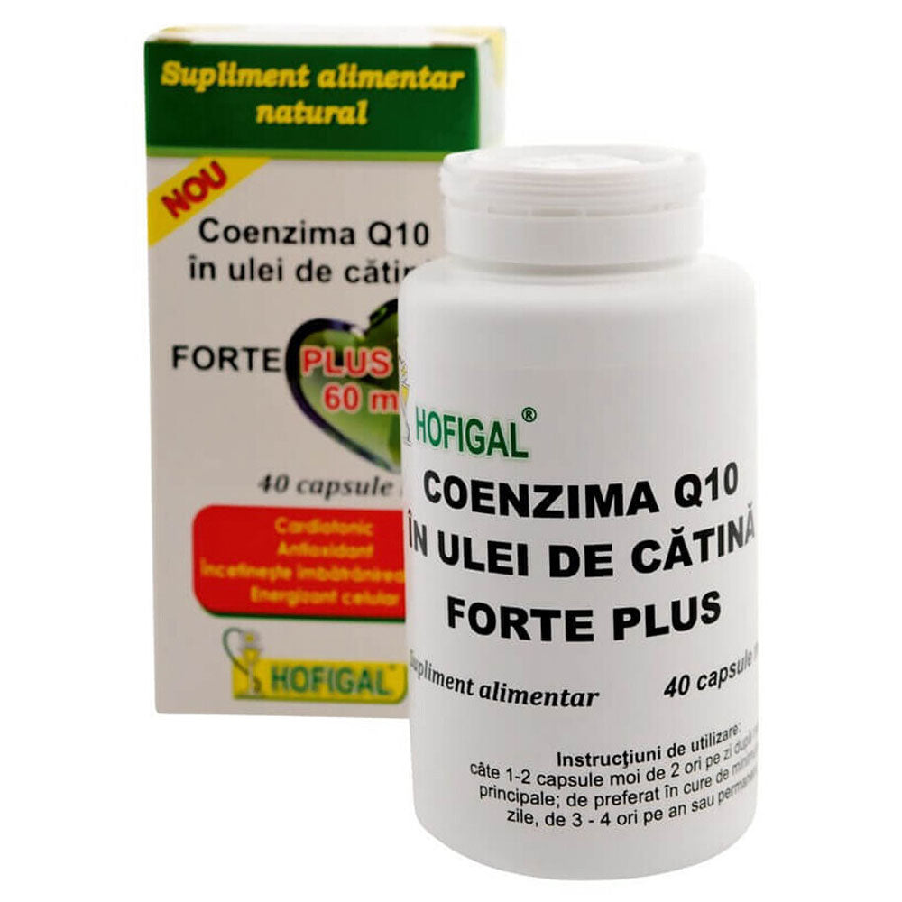 Coenzima Q10 in Ulei Catina Forte Plus 60mg, 40 Capsule, Hofigal