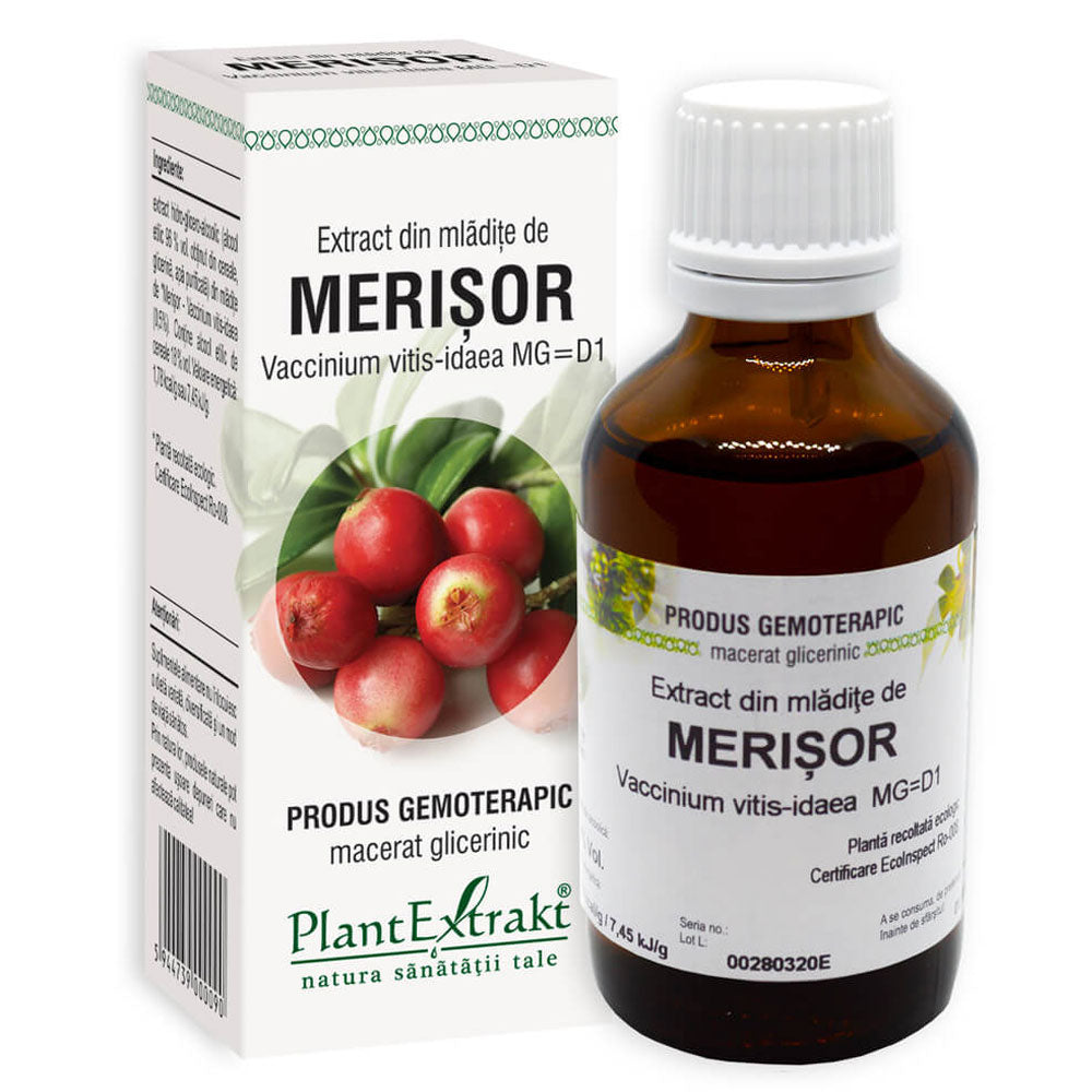 Extract din mladite de Merisor, 50ml, Plant Extrakt