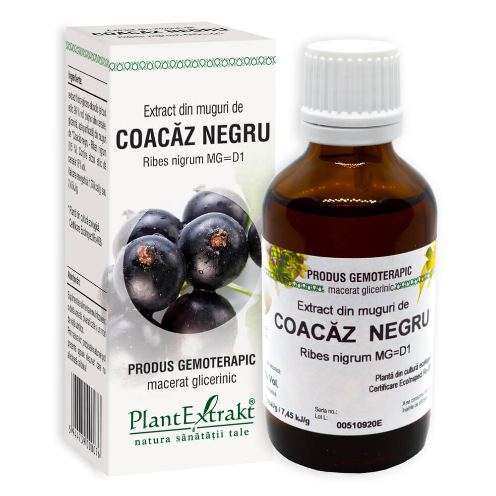 Extract din muguri de Coacaz Negru, 50 ml, Plant Extrakt