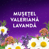 Melatonina, 60 jeleuri, ZzzQuil Natura