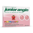 Junior Angin Capsuni, 24Pastile